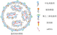 脂质纳米粒：从脂质体到 mRNA 疫苗递送的多样性和应用前景